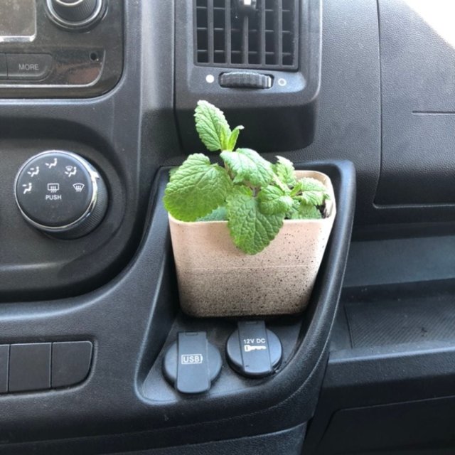 Planter cup — source image