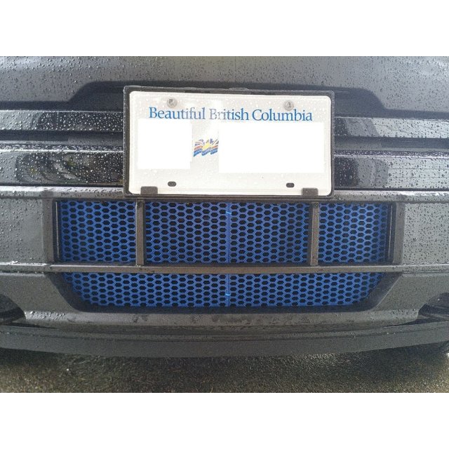 Lower grille mesh insert — source image