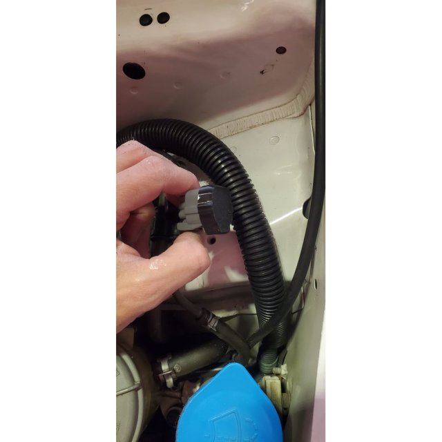 Electrical connector cap (for cruise control delete) — source image