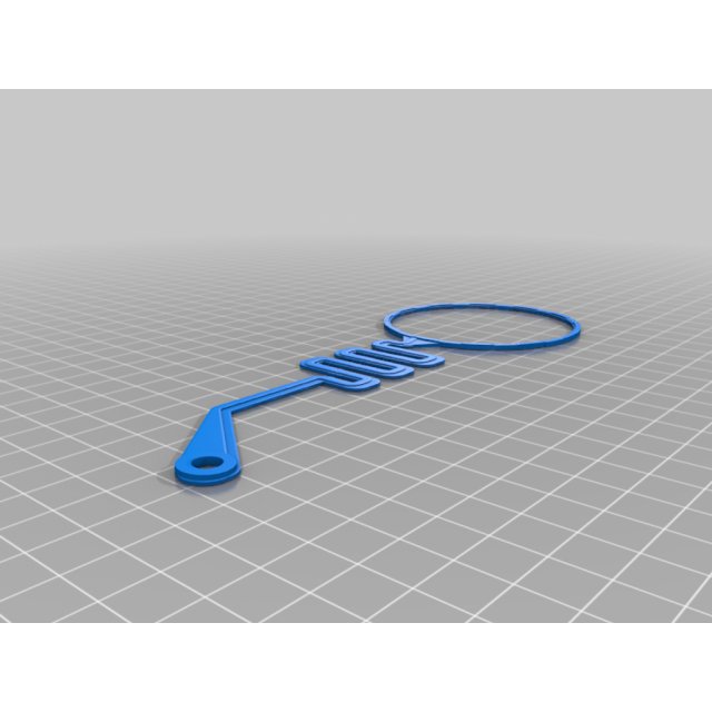 gas cap lanyard — source image