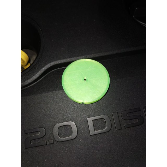 Washer Fluid cap — source image