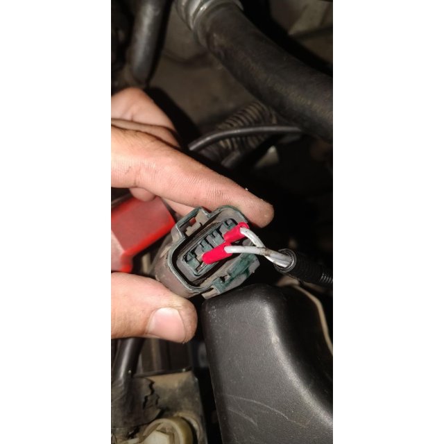 Socket — source image