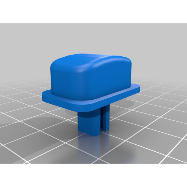Dome Light Button — source image