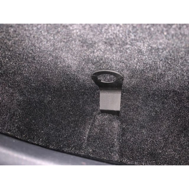 rear door emergency latch handle — source image